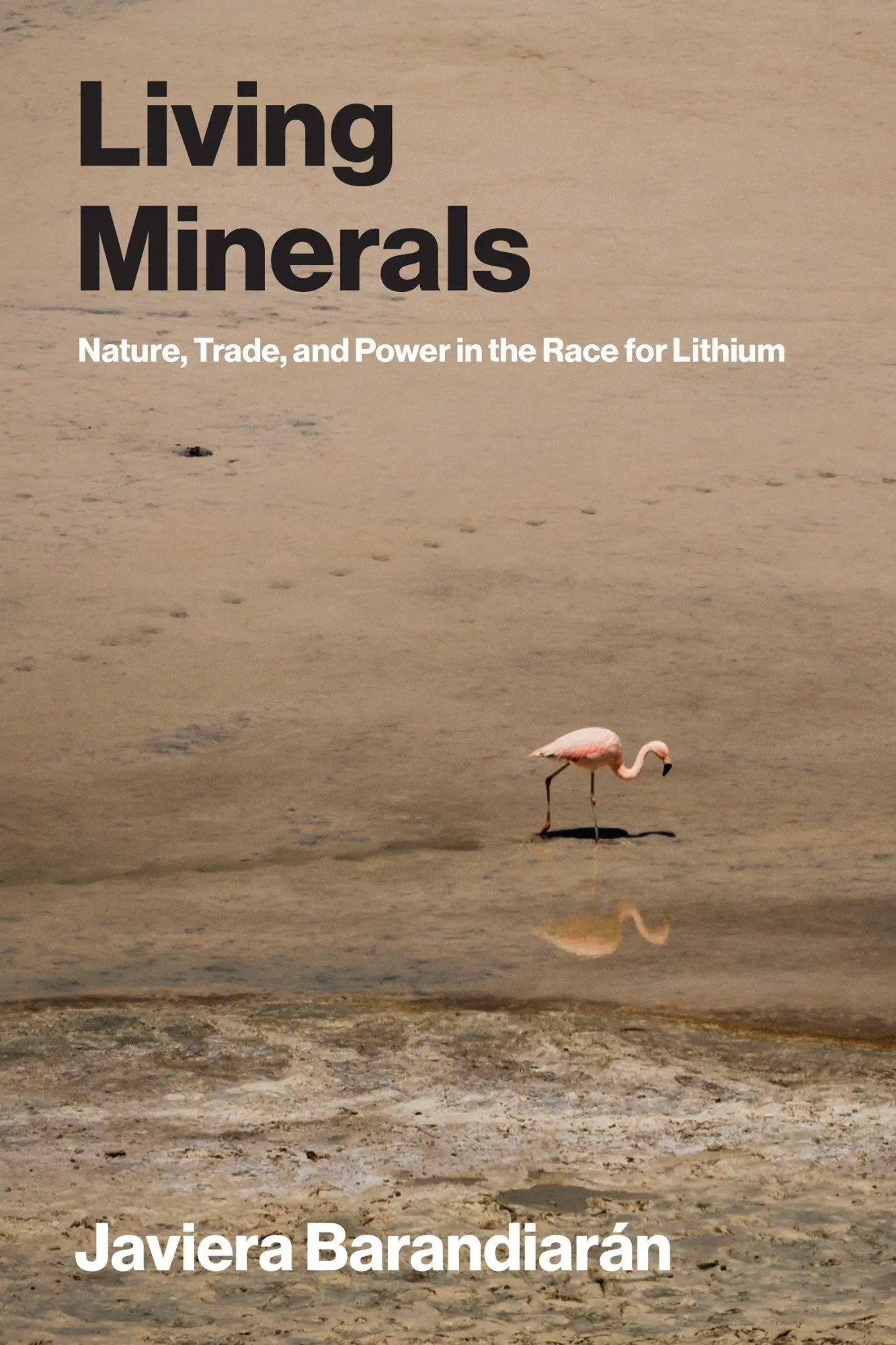 Cover: 9780262553704 | Living Minerals | Nature, Trade, and Power in the Race for Lithium