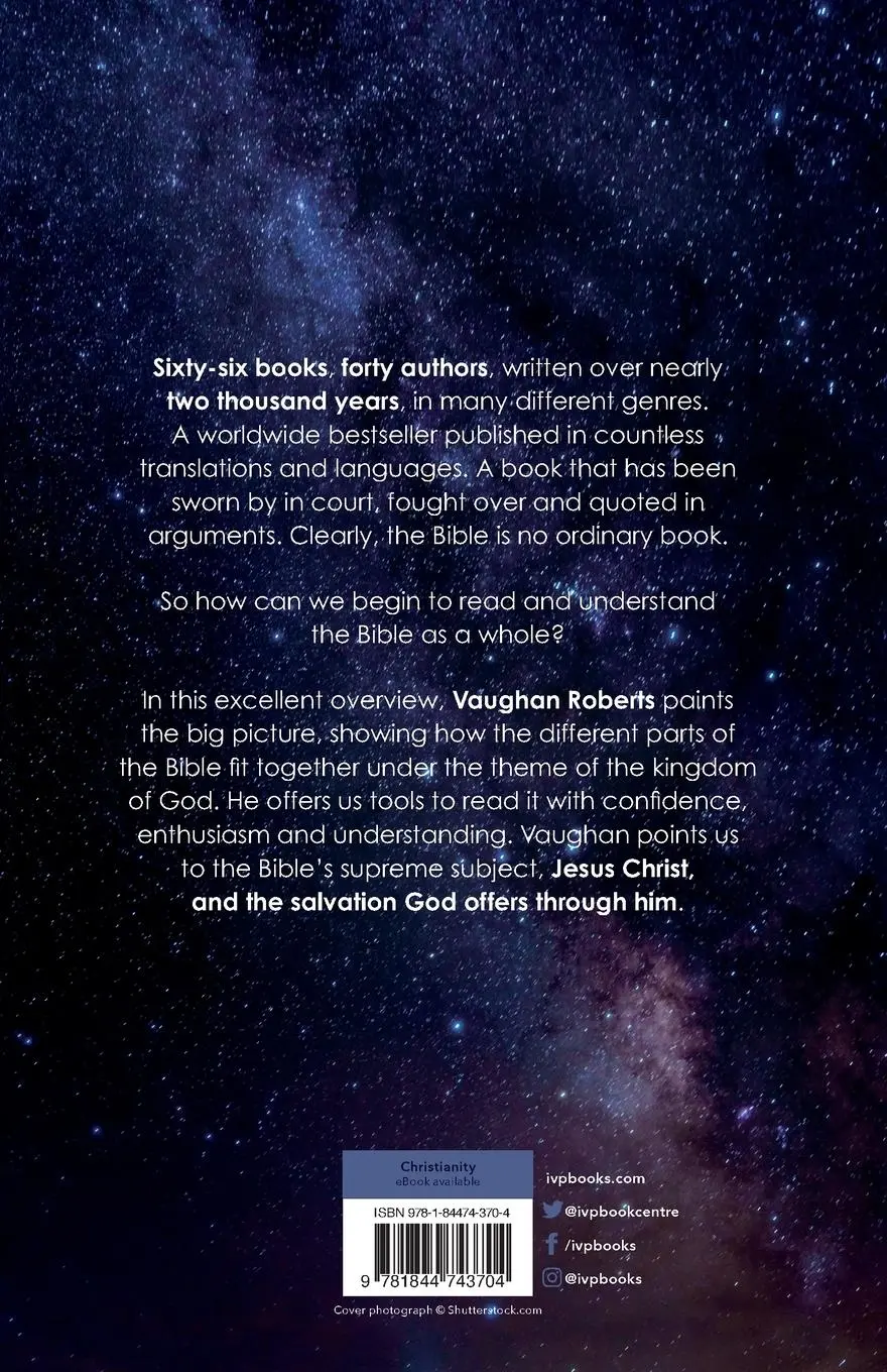 Rückseite: 9781844743704 | God's Big Picture | A Bible Overview | Vaughan Roberts | Taschenbuch