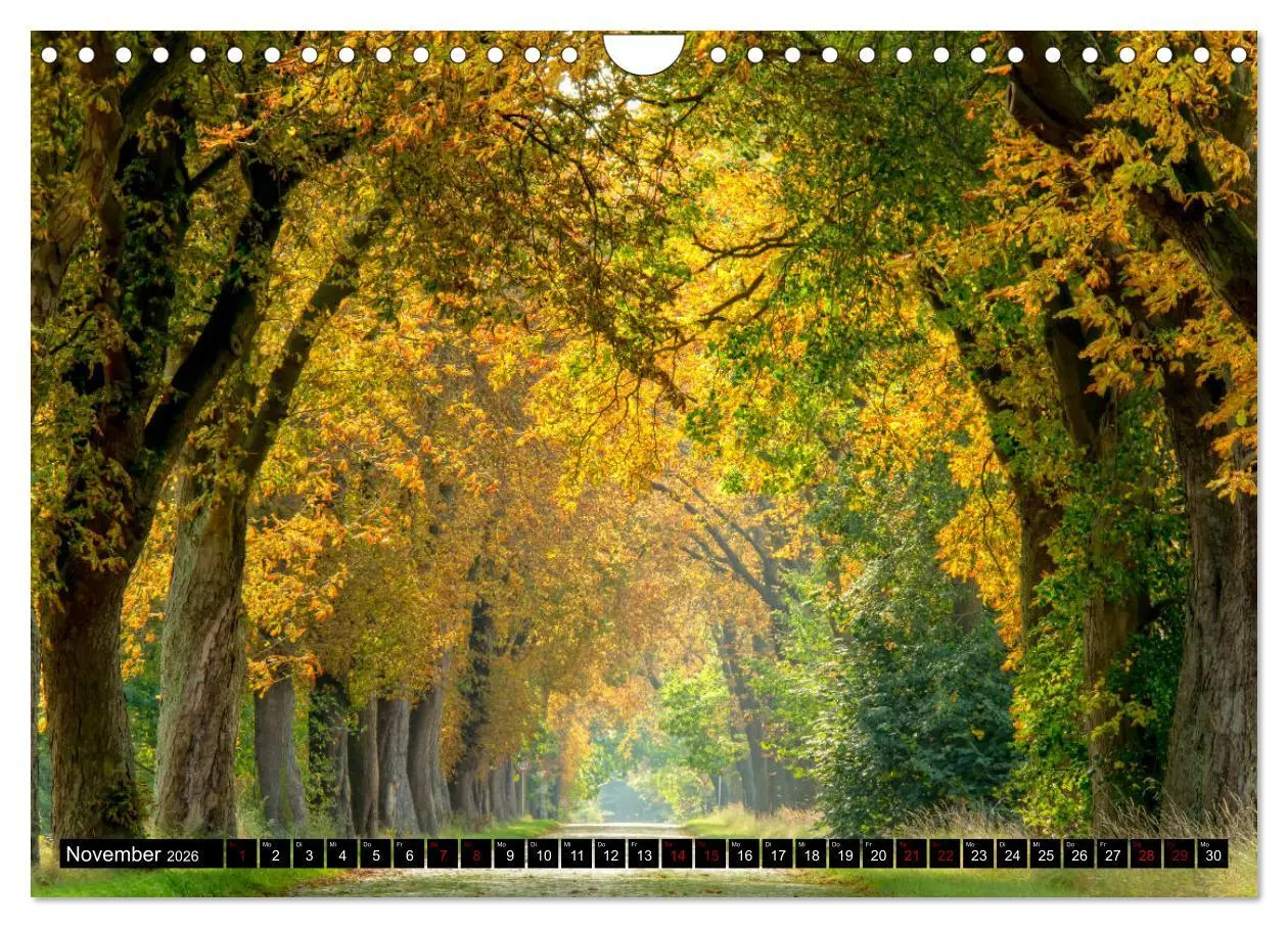 Bild: 9783457903704 | Vorpommern - von Altefähr bis Zinnowitz (Wandkalender 2026 DIN A4...