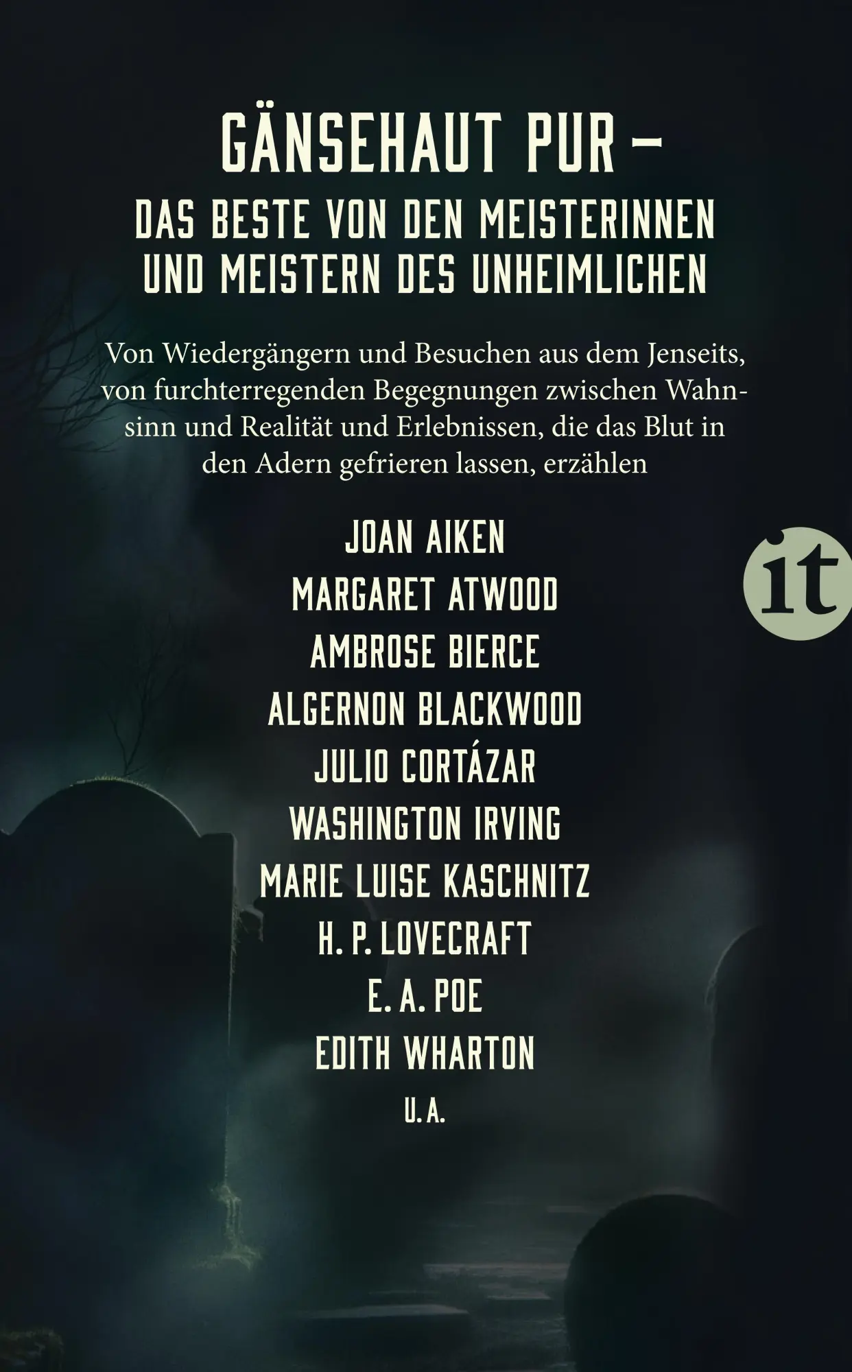 Rückseite: 9783458683704 | Besuch aus der Schattenwelt | Peter Wenzel | Taschenbuch | 250 S.