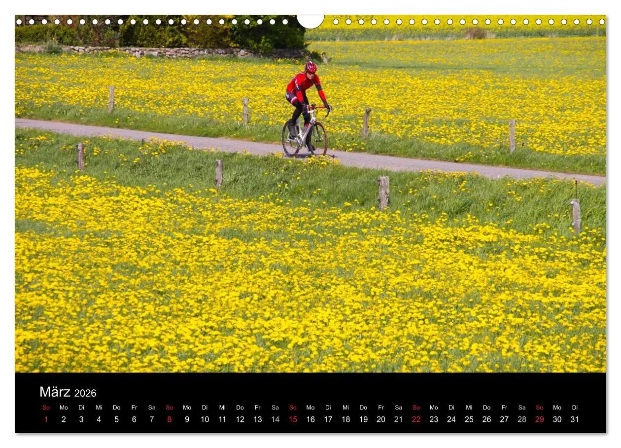 Bild: 9783516093704 | Roadbike Dreams. Traumstraßen in Europa (Wandkalender 2026 DIN A3...
