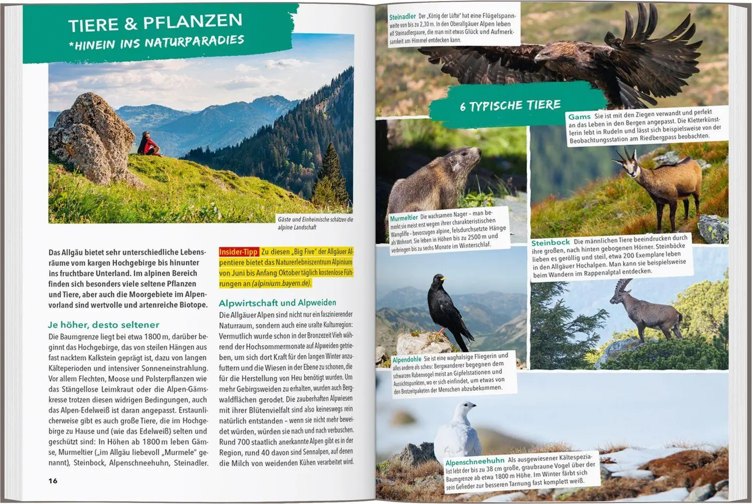 Bild: 9783575023704 | MARCO POLO OUTDOOR GUIDE Reiseführer Allgäu | Barbara Kettl-Römer