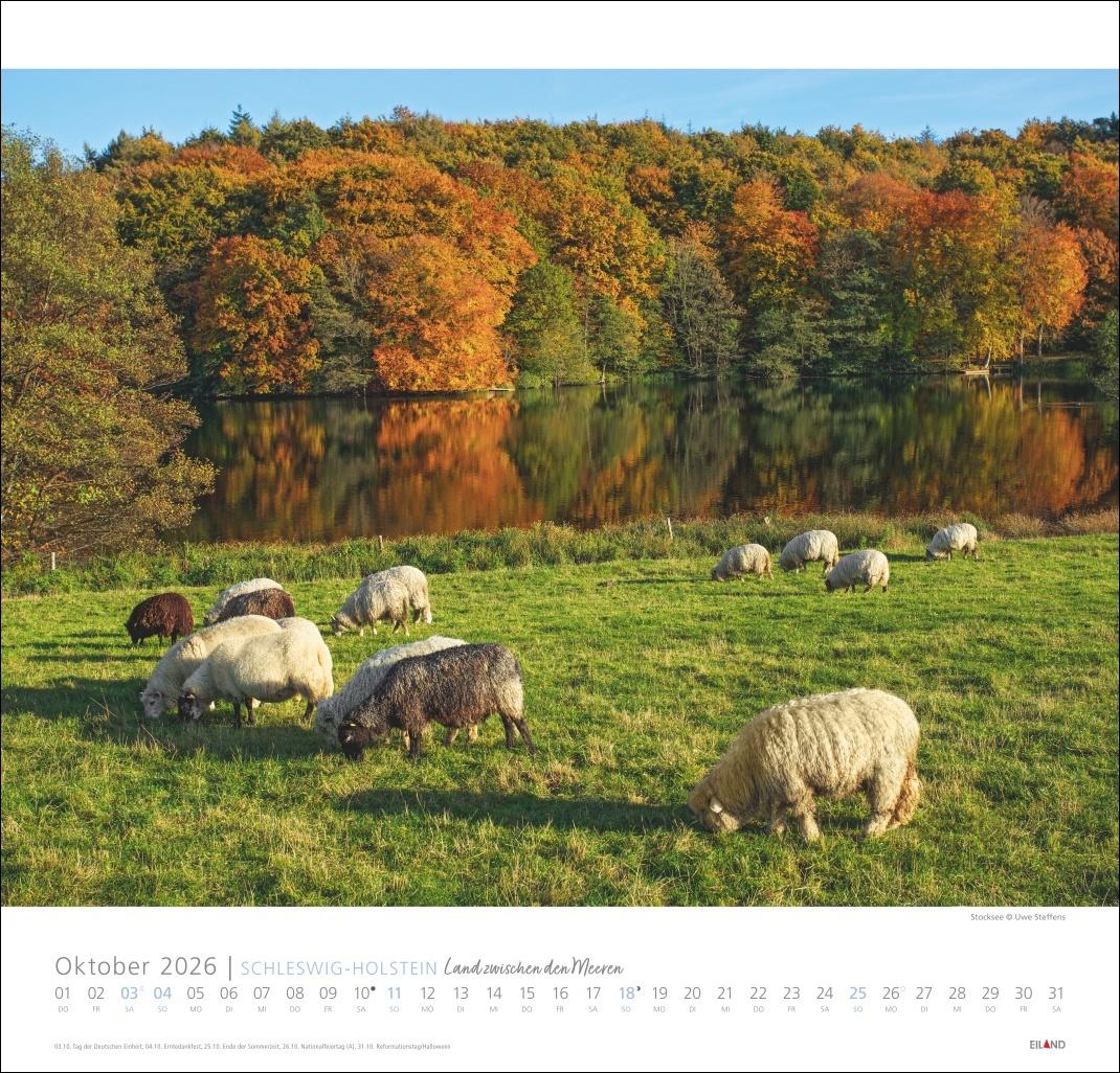 Bild: 9783964023704 | Schleswig-Holstein Edition Kalender 2026 - Land zwischen den Meeren