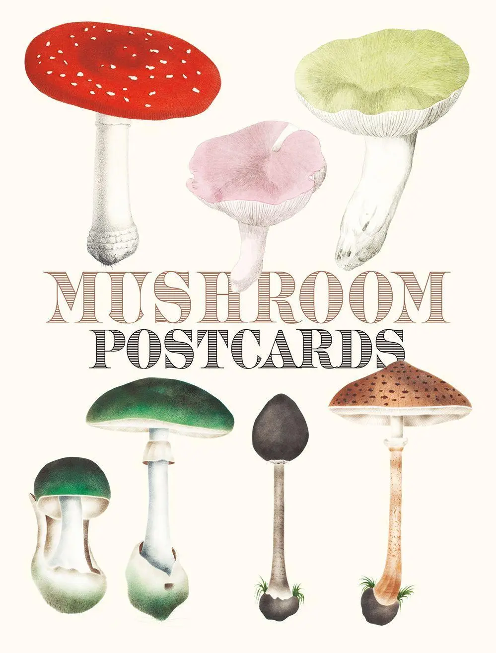 Cover: 9784756253804 | Mushroom Postcards | Pie International | Taschenbuch | Gebunden | 2020
