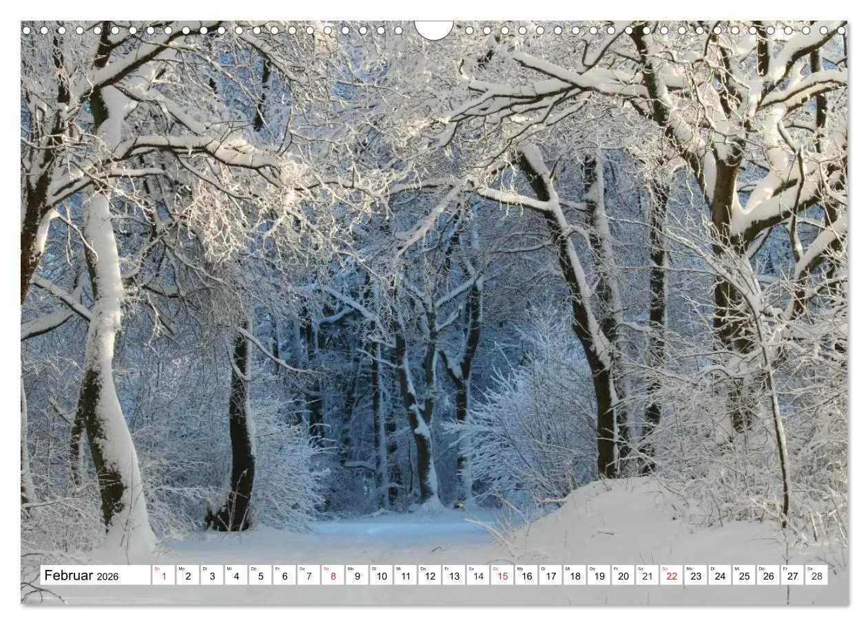 Bild: 9783516073904 | Wintermärchen Landschaften im Schnee (Wandkalender 2026 DIN A3...