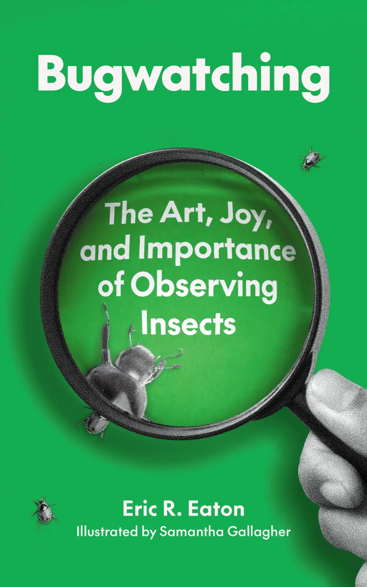 Cover: 9780691264004 | Bugwatching | The Art, Joy, and Importance of Observing Insects | Buch