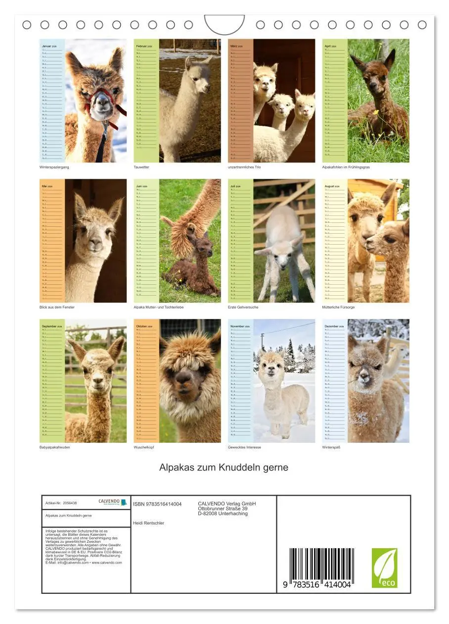 Bild: 9783516414004 | Alpakas zum Knuddeln gerne (Wandkalender 2026 DIN A4 hoch),...