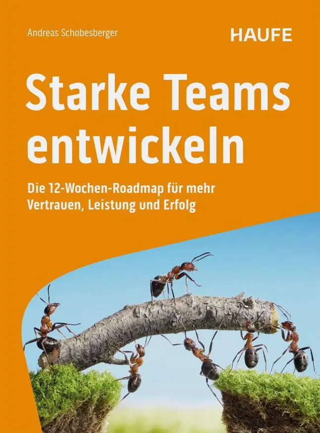 Cover: 9783648184004 | Starke Teams entwickeln | Andreas Schobesberger | Taschenbuch | 232 S.