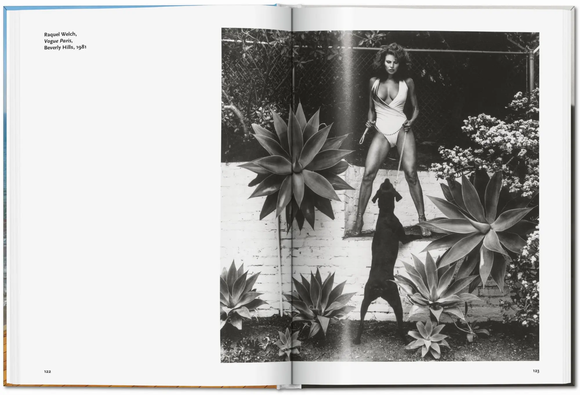 Bild: 9783836594004 | Helmut Newton | Sarah Mower | Buch | 192 S. | Deutsch | 2024