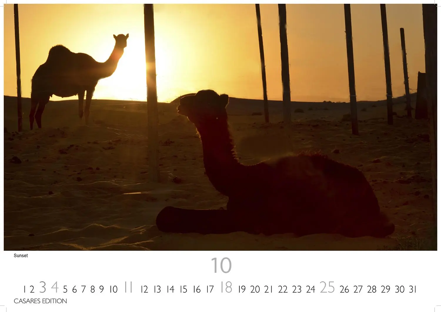 Bild: 9781835244104 | Dubai/Abu Dhabi 2026 L 35x50cm | Kalender | 14 S. | Deutsch | 2026