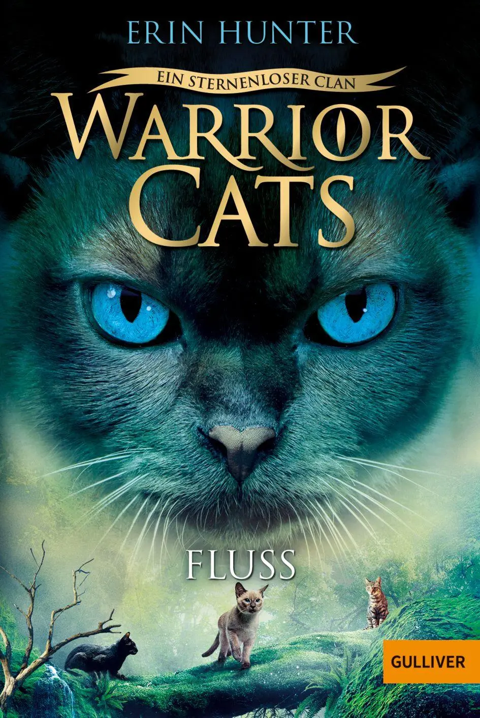 Cover: 9783407814104 | Warrior Cats - Ein sternenloser Clan. Fluss | Staffel VIII, Band 1