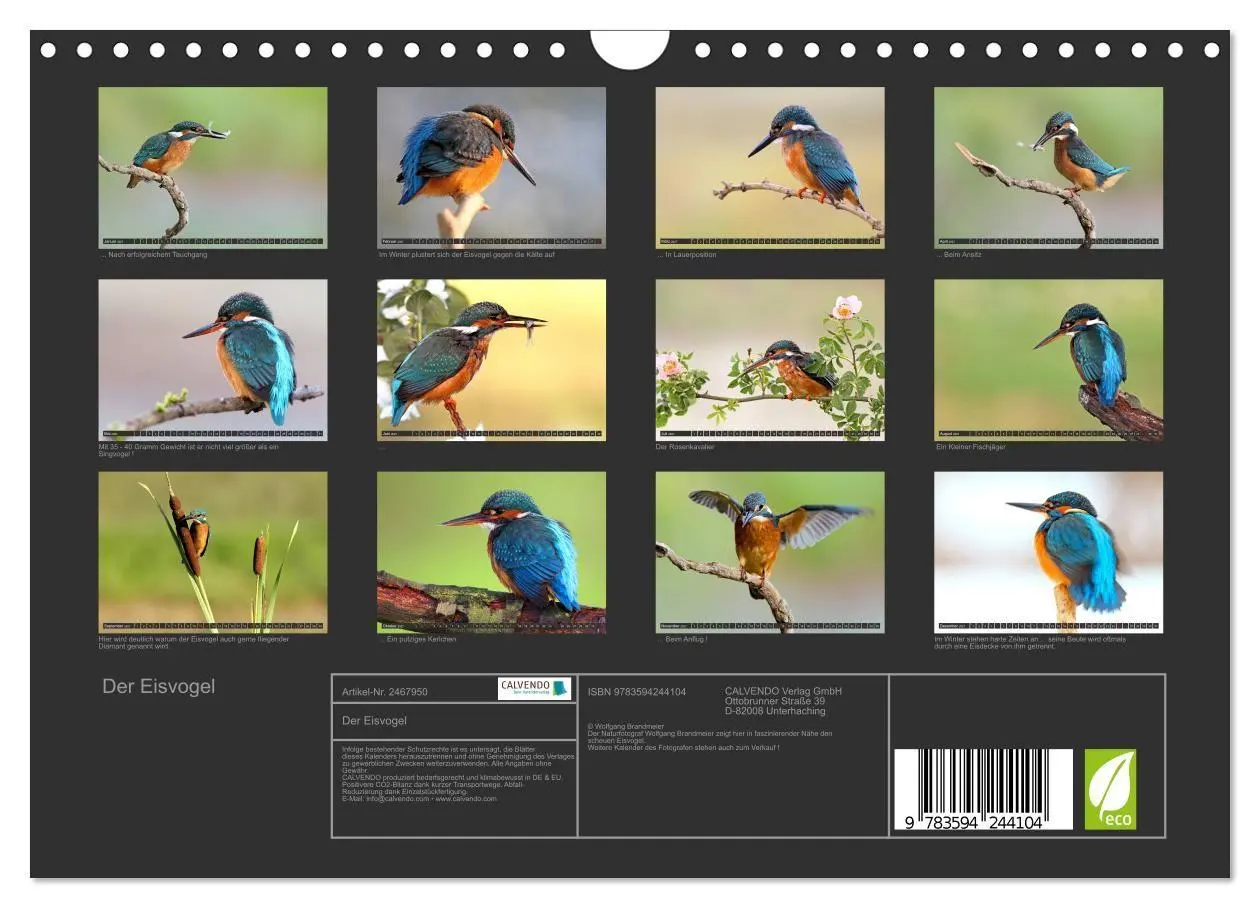 Bild: 9783594244104 | Der Eisvogel (Wandkalender 2027 DIN A4 quer), CALVENDO Monatskalender