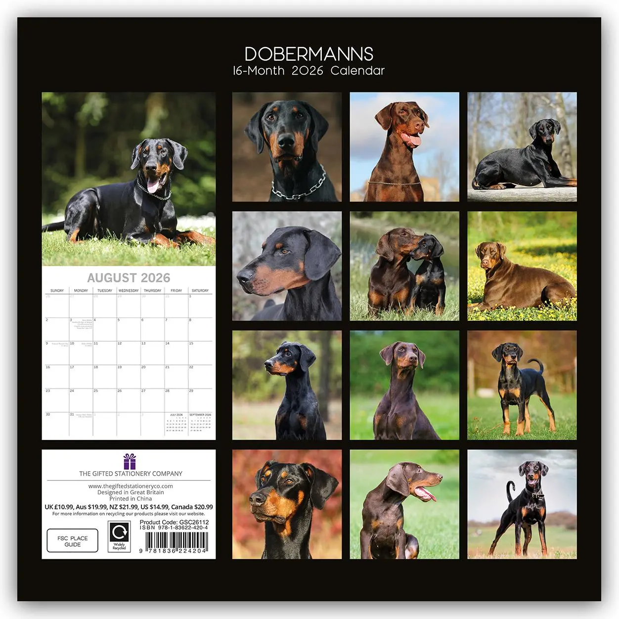 Rückseite: 9781836224204 | Dobermans - Dobermann 2026 - 16-Monatskalender | Ltd | Kalender | 2026