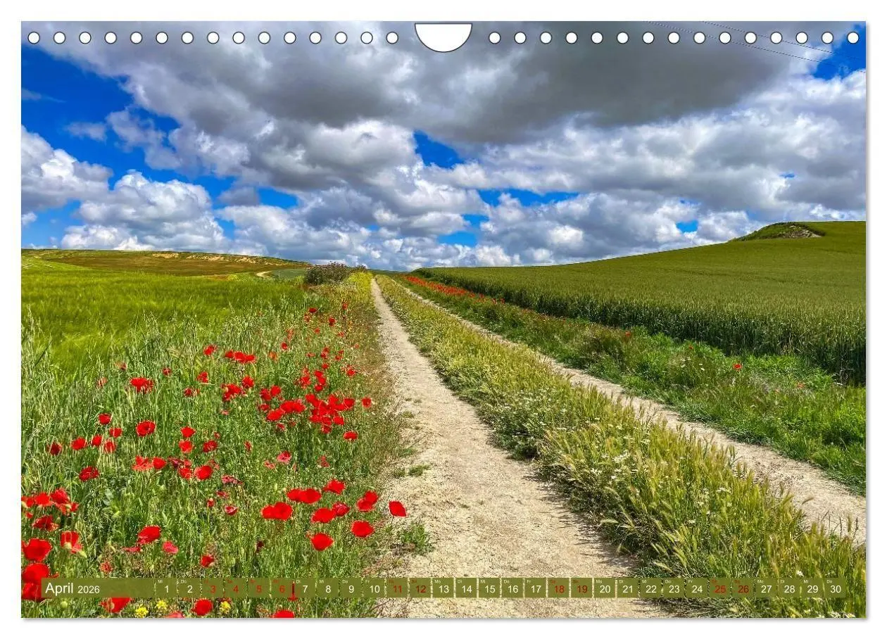 Bild: 9783516704204 | Augenblicke der Ruhe (Wandkalender 2026 DIN A4 quer), CALVENDO...