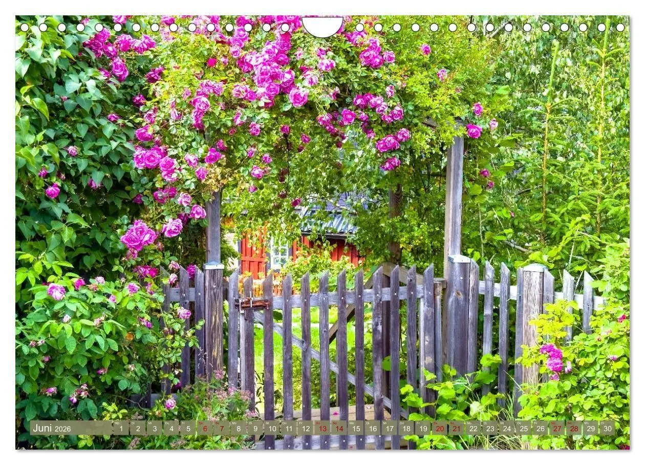 Bild: 9783516704204 | Augenblicke der Ruhe (Wandkalender 2026 DIN A4 quer), CALVENDO...