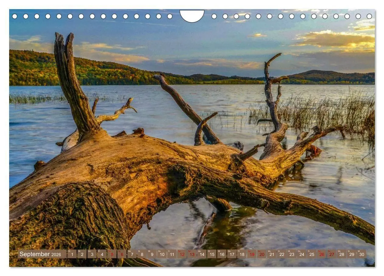 Bild: 9783516704204 | Augenblicke der Ruhe (Wandkalender 2026 DIN A4 quer), CALVENDO...
