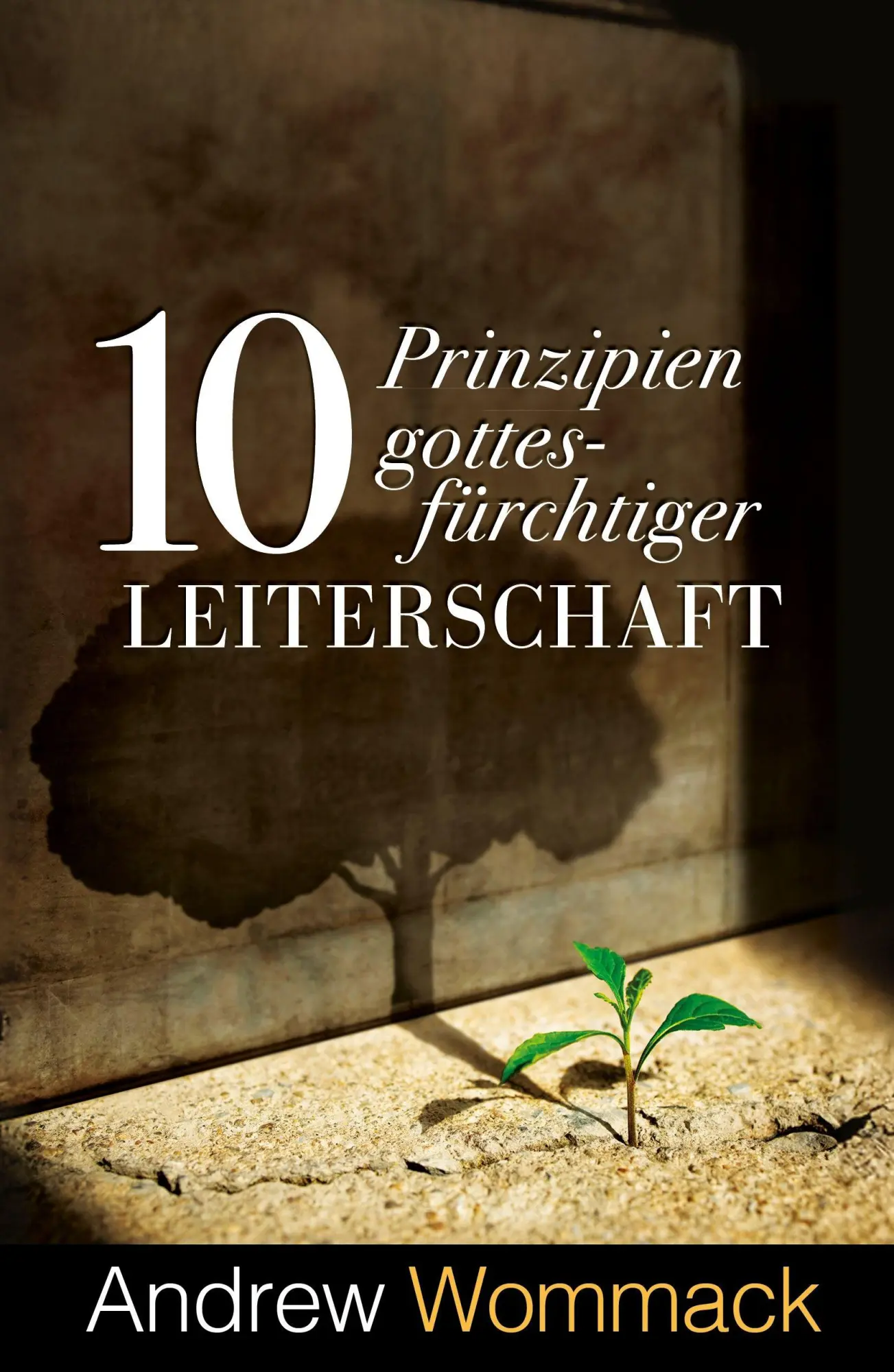 Cover: 9783959334204 | 10 Prinzipien gottesfürchtiger Leiterschaft | Andrew Wommack | Buch
