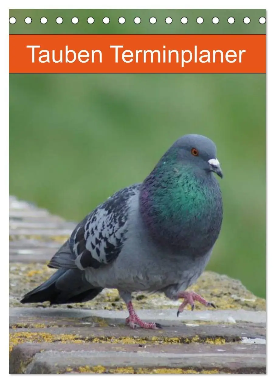 Cover: 9783569944404 | Tauben Terminplaner (Tischkalender 2027 DIN A5 hoch), CALVENDO...