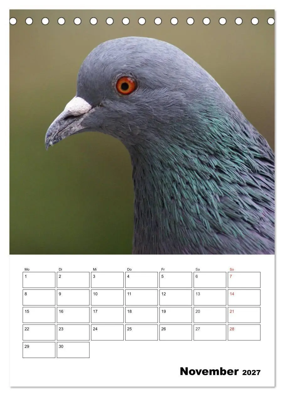 Bild: 9783569944404 | Tauben Terminplaner (Tischkalender 2027 DIN A5 hoch), CALVENDO...