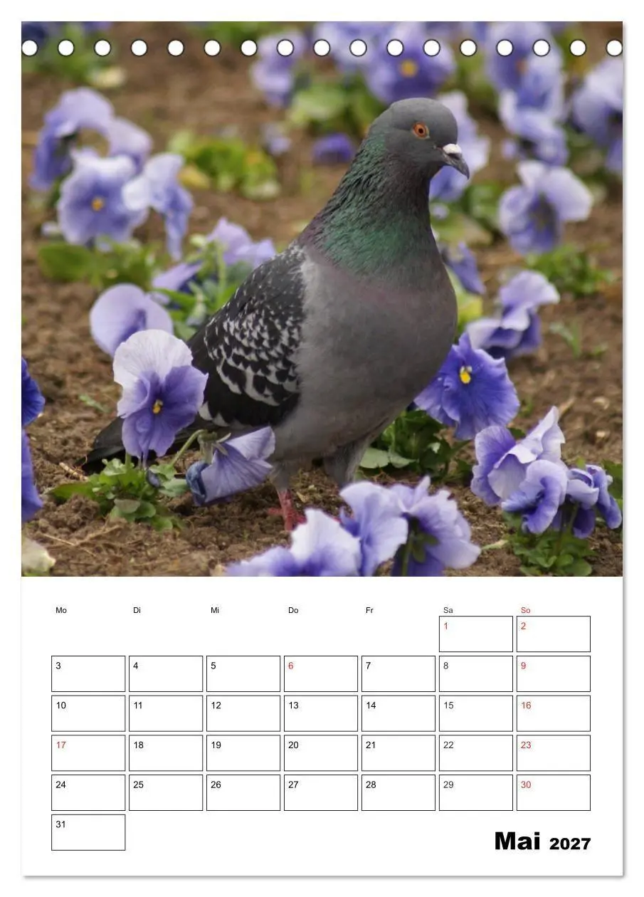 Bild: 9783569944404 | Tauben Terminplaner (Tischkalender 2027 DIN A5 hoch), CALVENDO...
