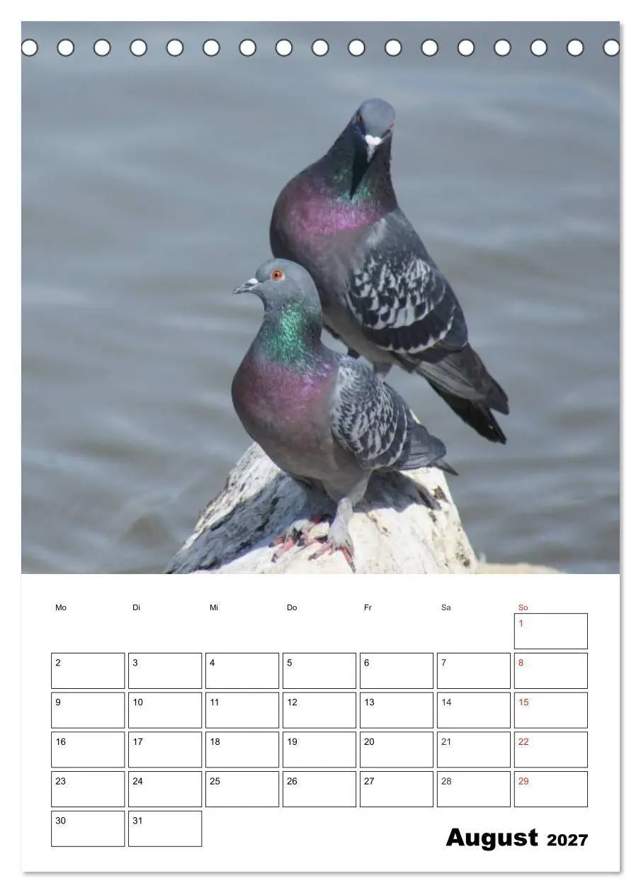 Bild: 9783569944404 | Tauben Terminplaner (Tischkalender 2027 DIN A5 hoch), CALVENDO...