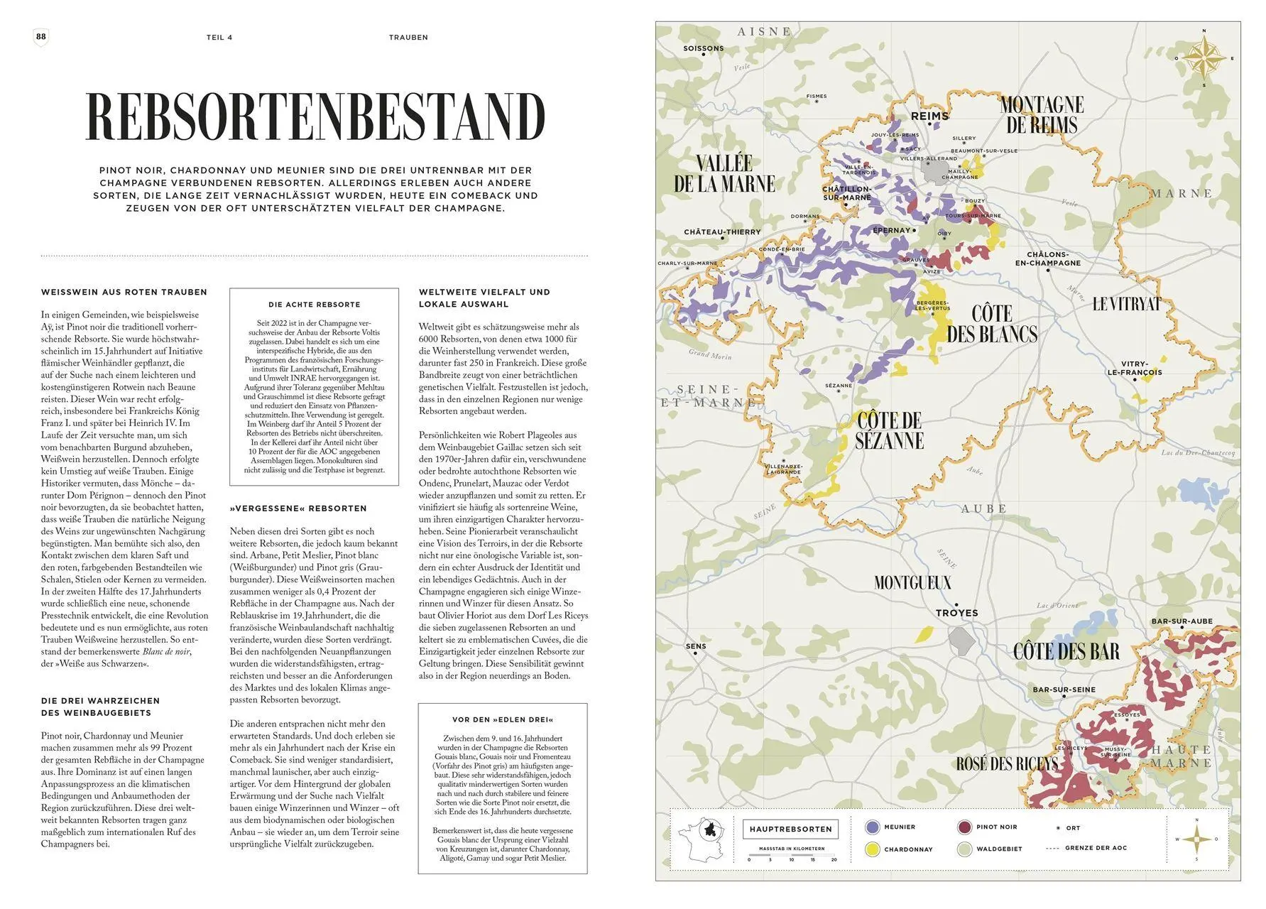 Bild: 9783831054404 | Champagner | Aurélie Soubiran | Buch | 192 S. | Deutsch | 2026