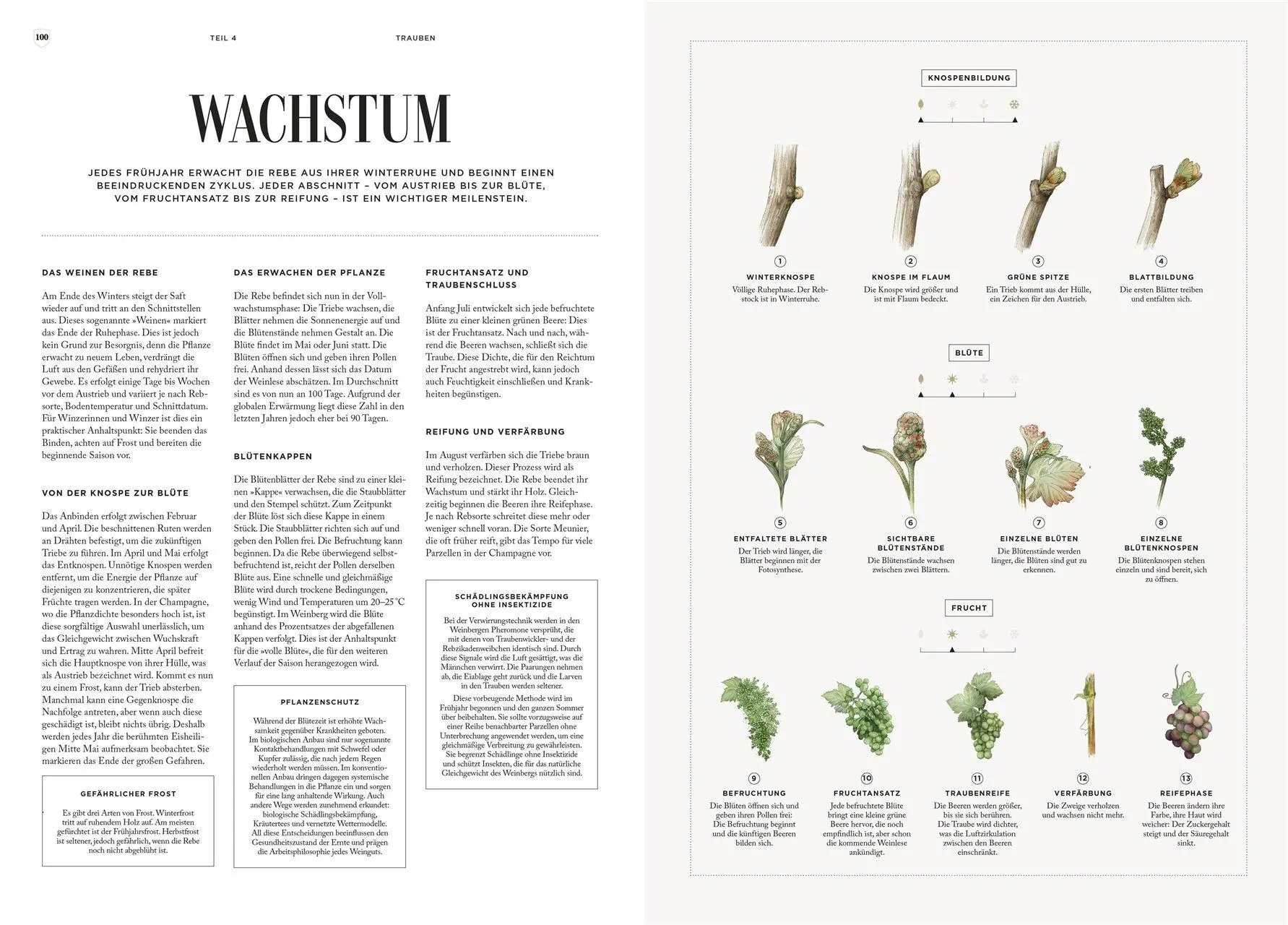 Bild: 9783831054404 | Champagner | Aurélie Soubiran | Buch | 192 S. | Deutsch | 2026