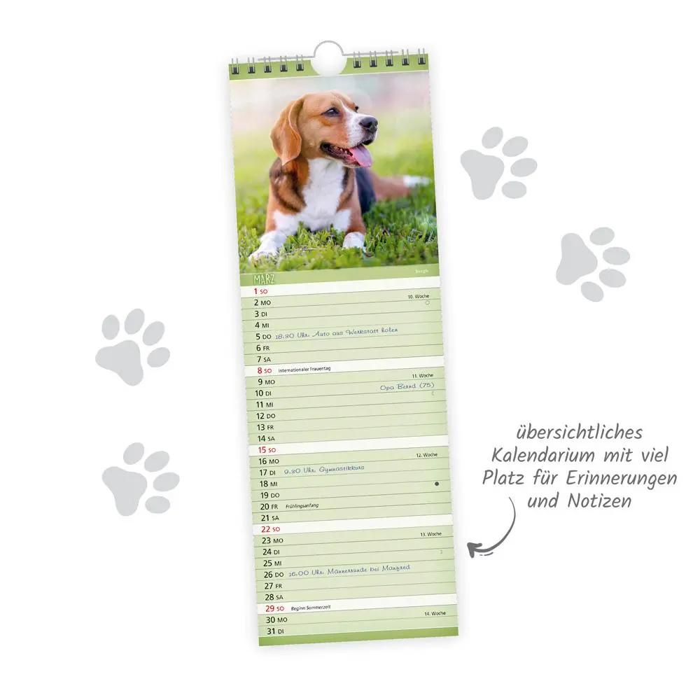 Bild: 9783988024404 | Trötsch Streifenkalender Hunde 2026 Notizkalender | KG | Kalender