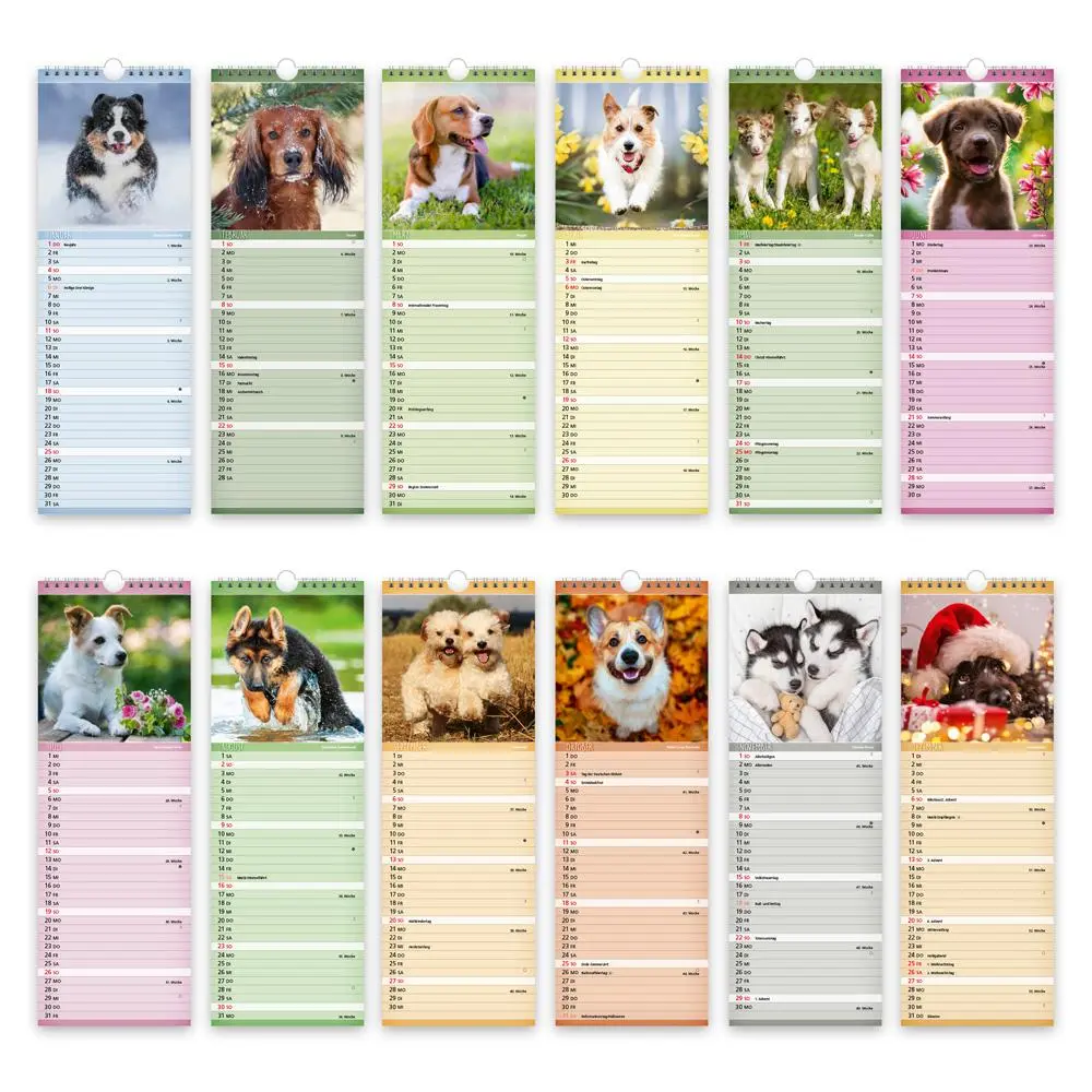 Bild: 9783988024404 | Trötsch Streifenkalender Hunde 2026 Notizkalender | KG | Kalender