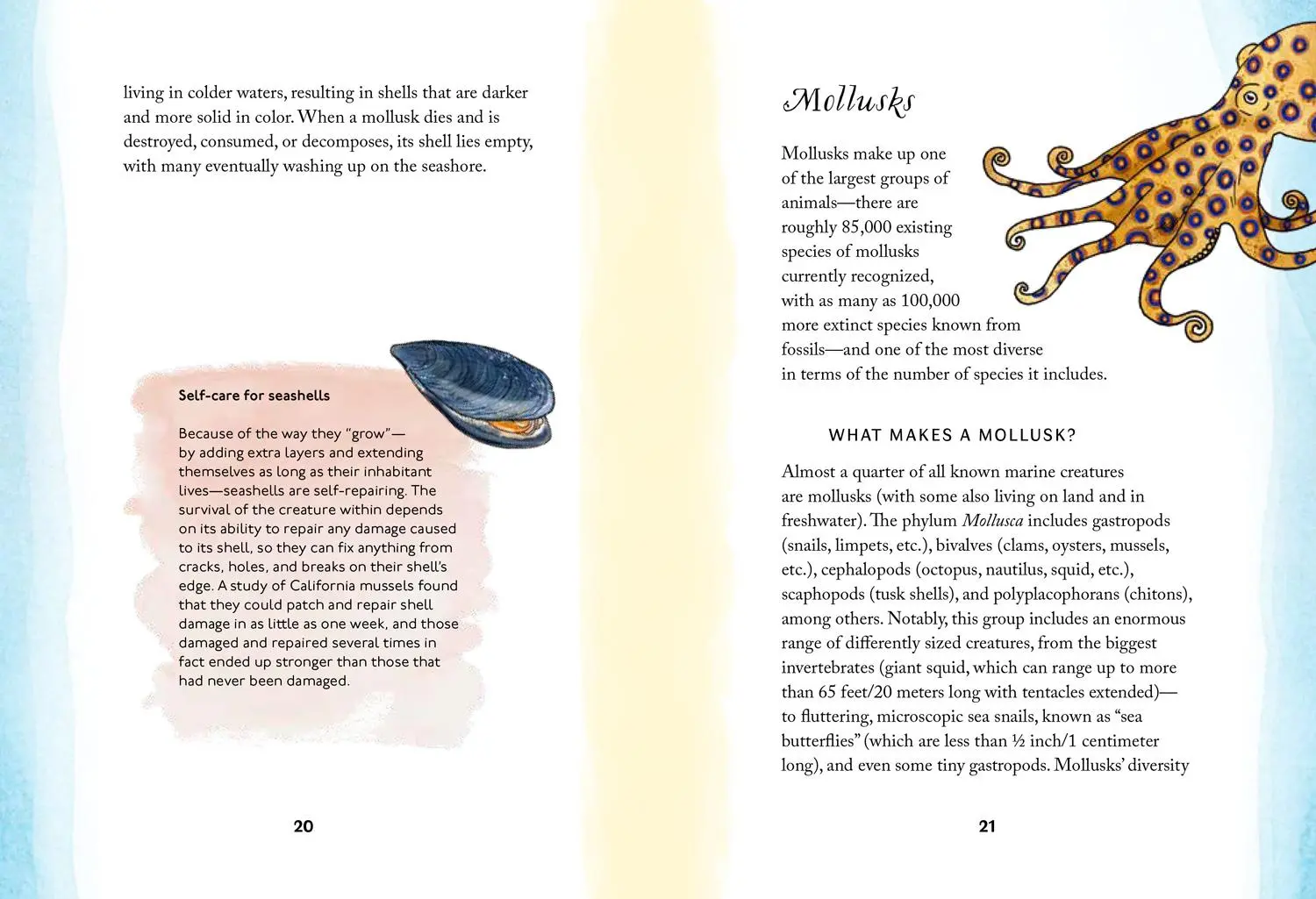 Bild: 9780008584504 | XBY SEA_HIDDEN NATURE SERIE HB | Susan Kelly | Buch | Gebunden | 2025