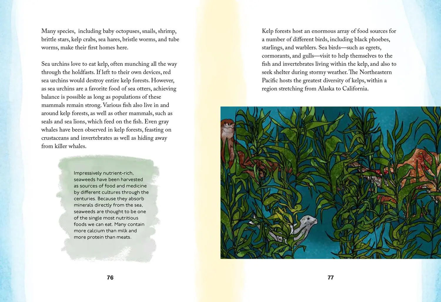 Bild: 9780008584504 | XBY SEA_HIDDEN NATURE SERIE HB | Susan Kelly | Buch | Gebunden | 2025