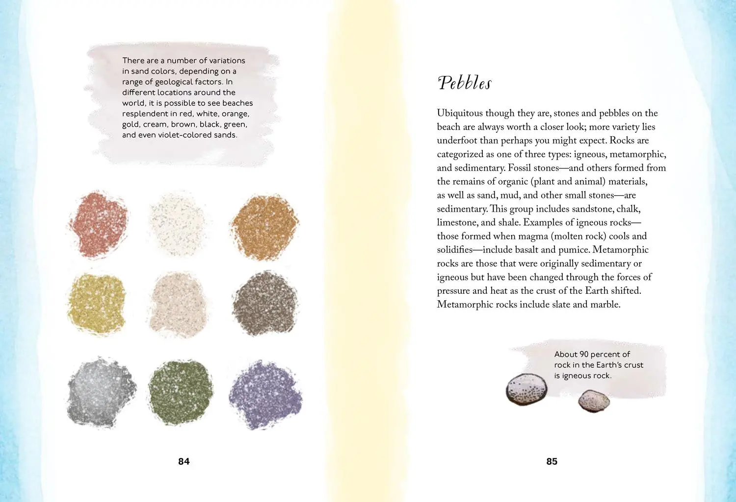 Bild: 9780008584504 | XBY SEA_HIDDEN NATURE SERIE HB | Susan Kelly | Buch | Gebunden | 2025