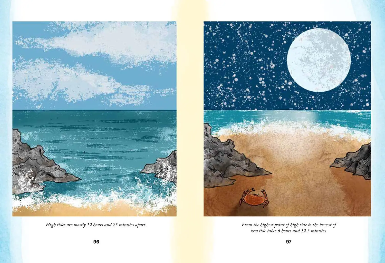 Bild: 9780008584504 | XBY SEA_HIDDEN NATURE SERIE HB | Susan Kelly | Buch | Gebunden | 2025