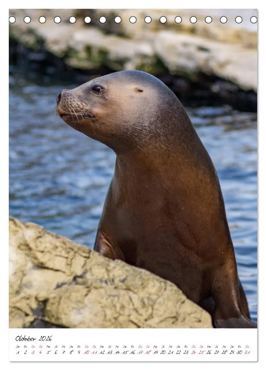 Bild: 9783516394504 | Tierwelten - aus dem ältesten Tiergarten der Welt (Tischkalender...
