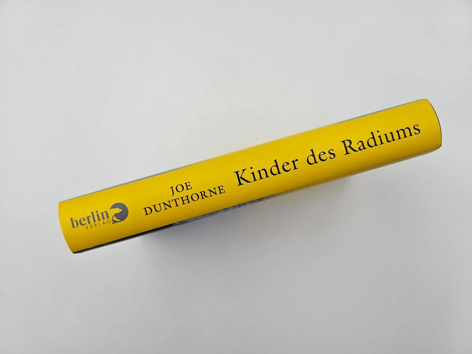 Bild: 9783827014504 | Kinder des Radiums | Auf den Spuren meiner jüdischen Familie | Buch