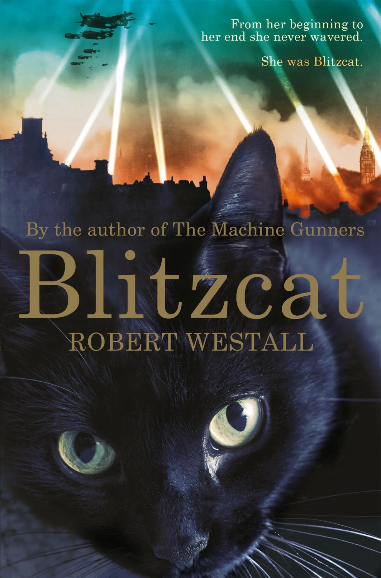 Cover: 9781447284604 | Blitzcat | Robert Westall | Taschenbuch | Kartoniert / Broschiert