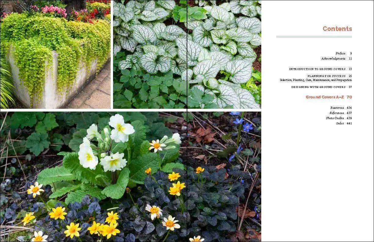 Bild: 9781604694604 | The Complete Book of Ground Covers | Gary Lewis | Buch | Gebunden