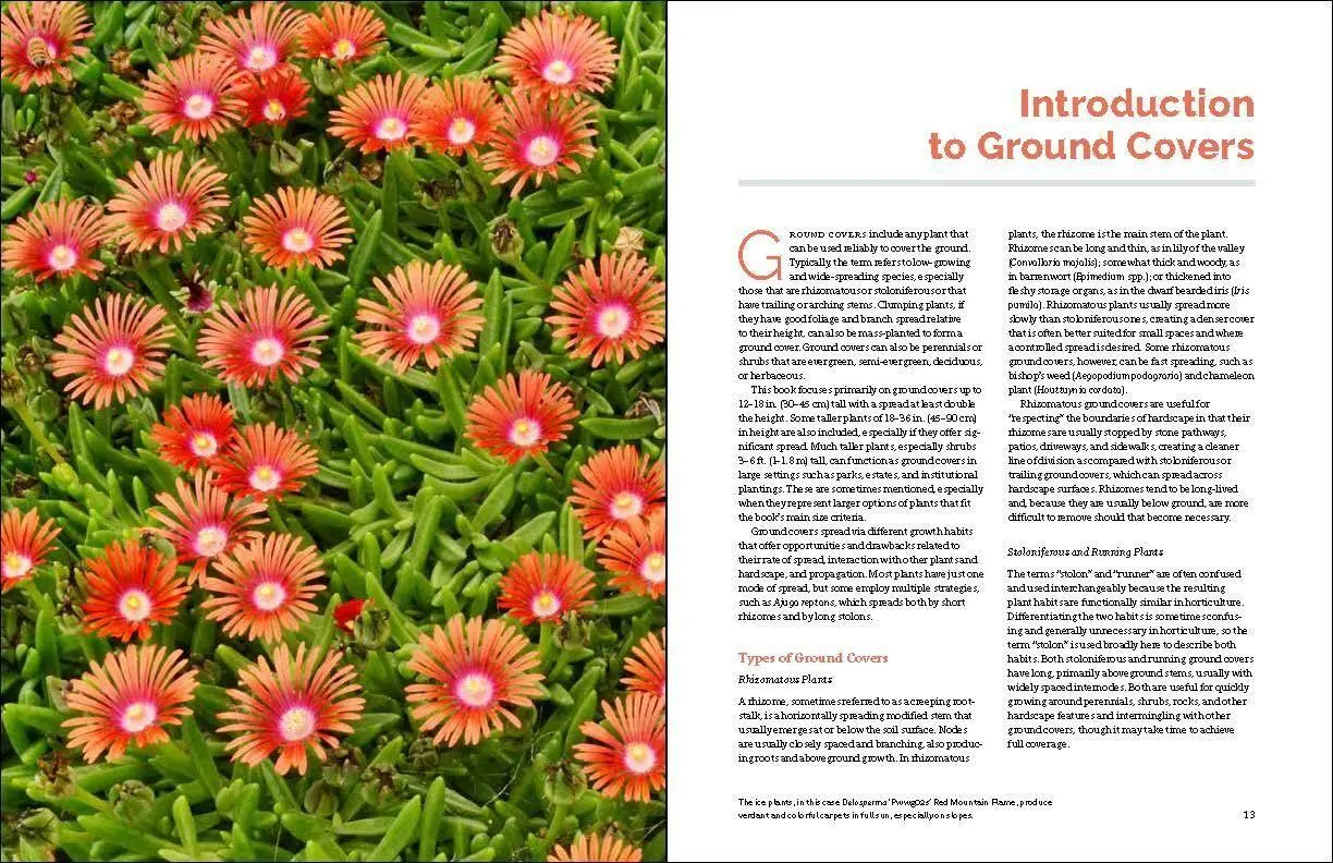 Bild: 9781604694604 | The Complete Book of Ground Covers | Gary Lewis | Buch | Gebunden
