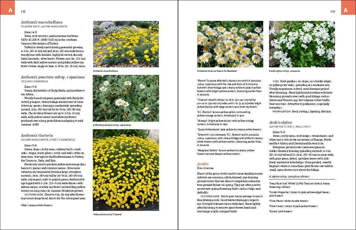 Bild: 9781604694604 | The Complete Book of Ground Covers | Gary Lewis | Buch | Gebunden