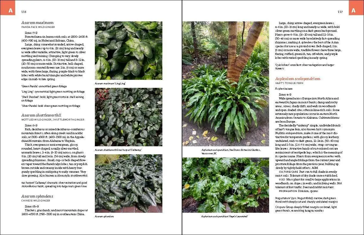 Bild: 9781604694604 | The Complete Book of Ground Covers | Gary Lewis | Buch | Gebunden