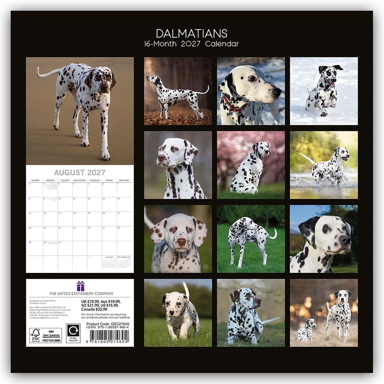 Rückseite: 9781805974604 | Dalmatians - Dalmatiner 2027 - 16-Monatskalender | Ltd | Kalender