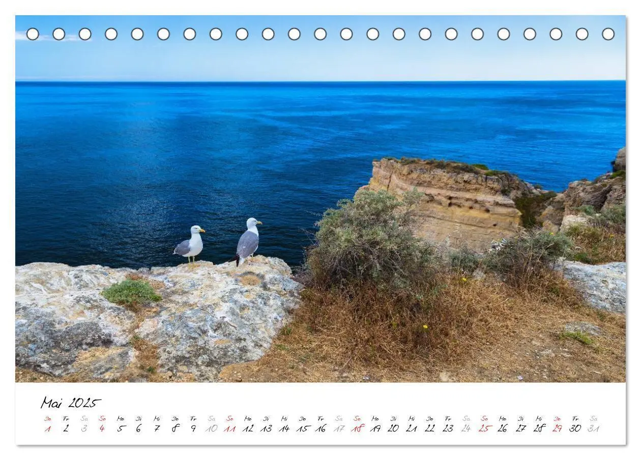 Bild: 9783435654604 | Die portugiesische Atlantikküste - Algarve (Tischkalender 2025 DIN...