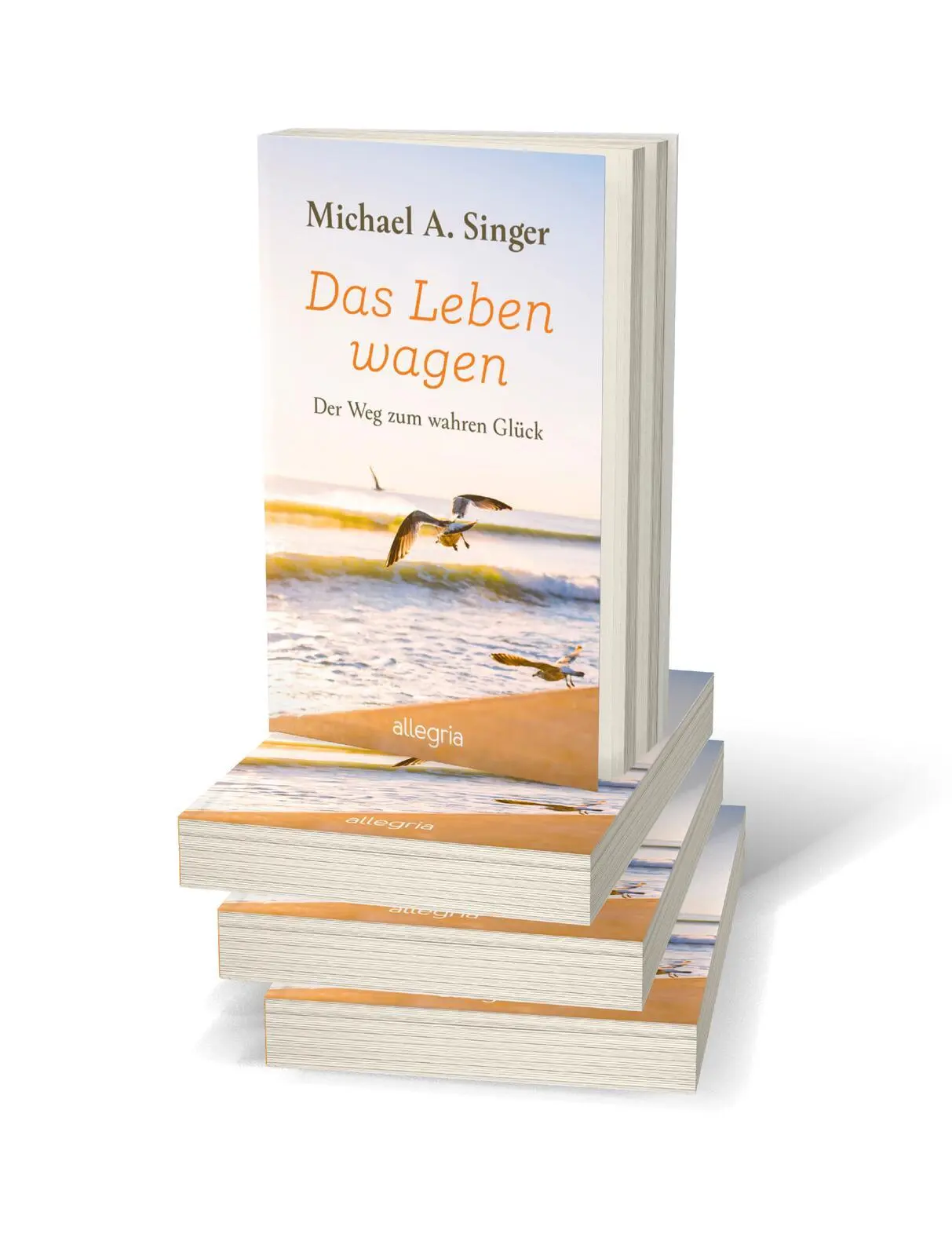 Bild: 9783548064604 | Das Leben wagen | Michael A. Singer | Taschenbuch | 320 S. | Deutsch