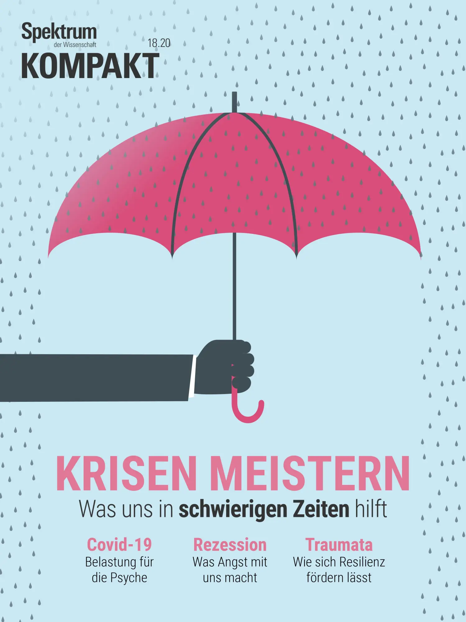 Cover: 9783958924604 | Spektrum Kompakt - Krisen meistern | Spektrum der Wissenschaft | Buch