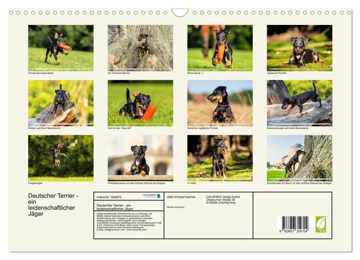 Bild: 9783457354704 | Deutscher Terrier - ein leidenschaftlicher Jäger (Wandkalender 2026...
