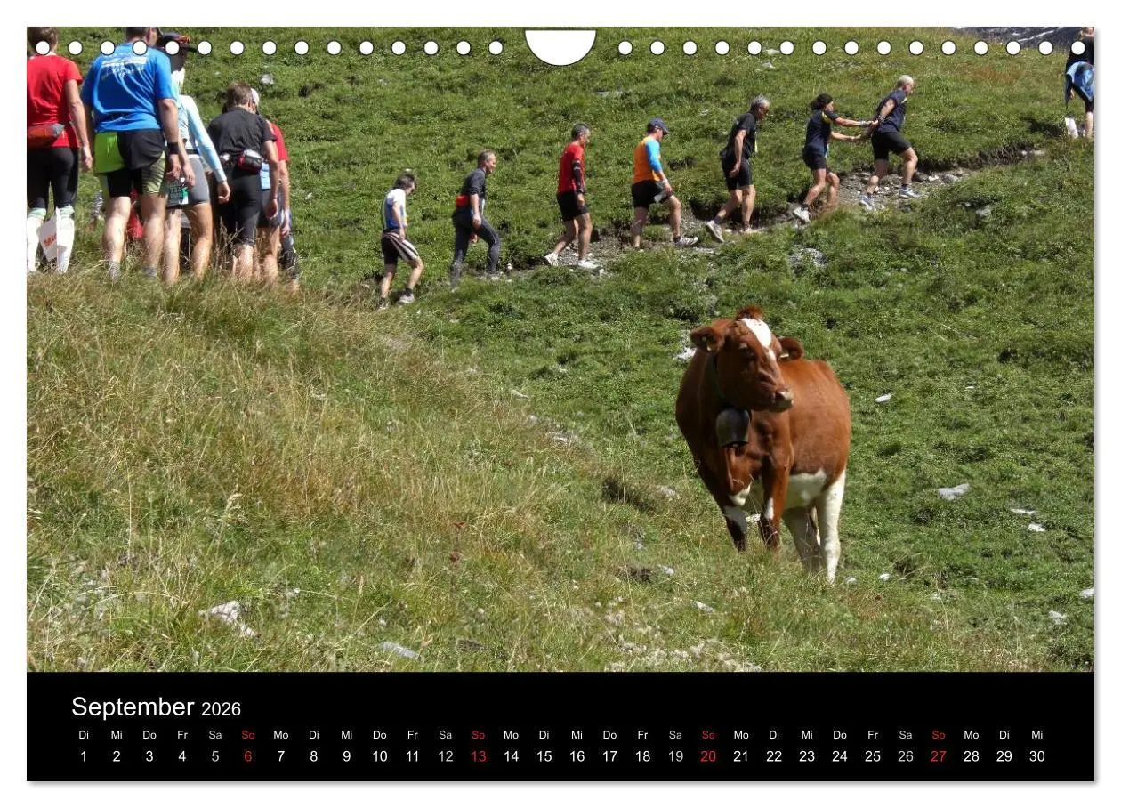 Bild: 9783516204704 | Der Jungfrau-Marathon (Wandkalender 2026 DIN A4 quer), CALVENDO...