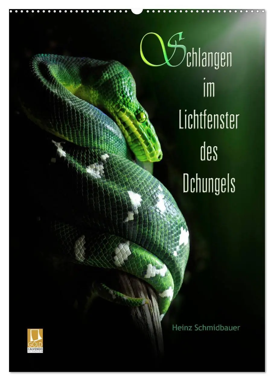 Cover: 9783516444704 | Schlangen im Lichtfenster des Dschungels (Wandkalender 2026 DIN A2...