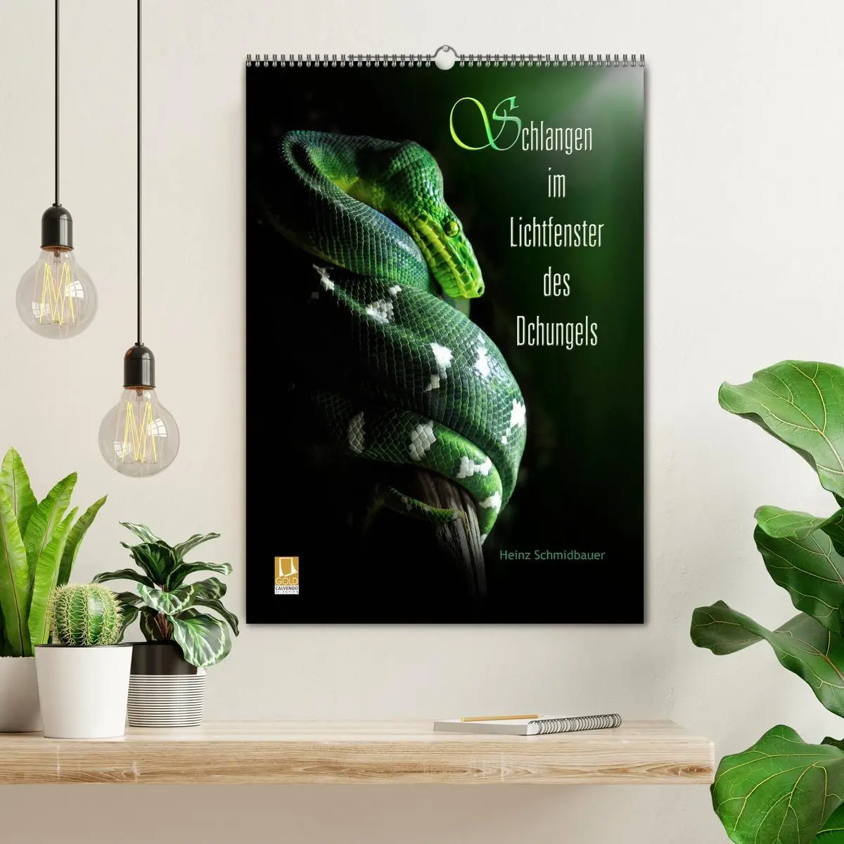 Bild: 9783516444704 | Schlangen im Lichtfenster des Dschungels (Wandkalender 2026 DIN A2...