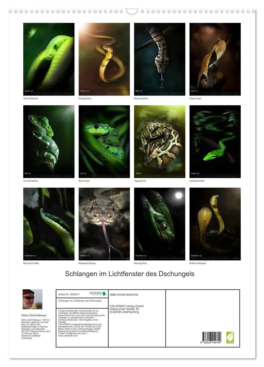 Bild: 9783516444704 | Schlangen im Lichtfenster des Dschungels (Wandkalender 2026 DIN A2...