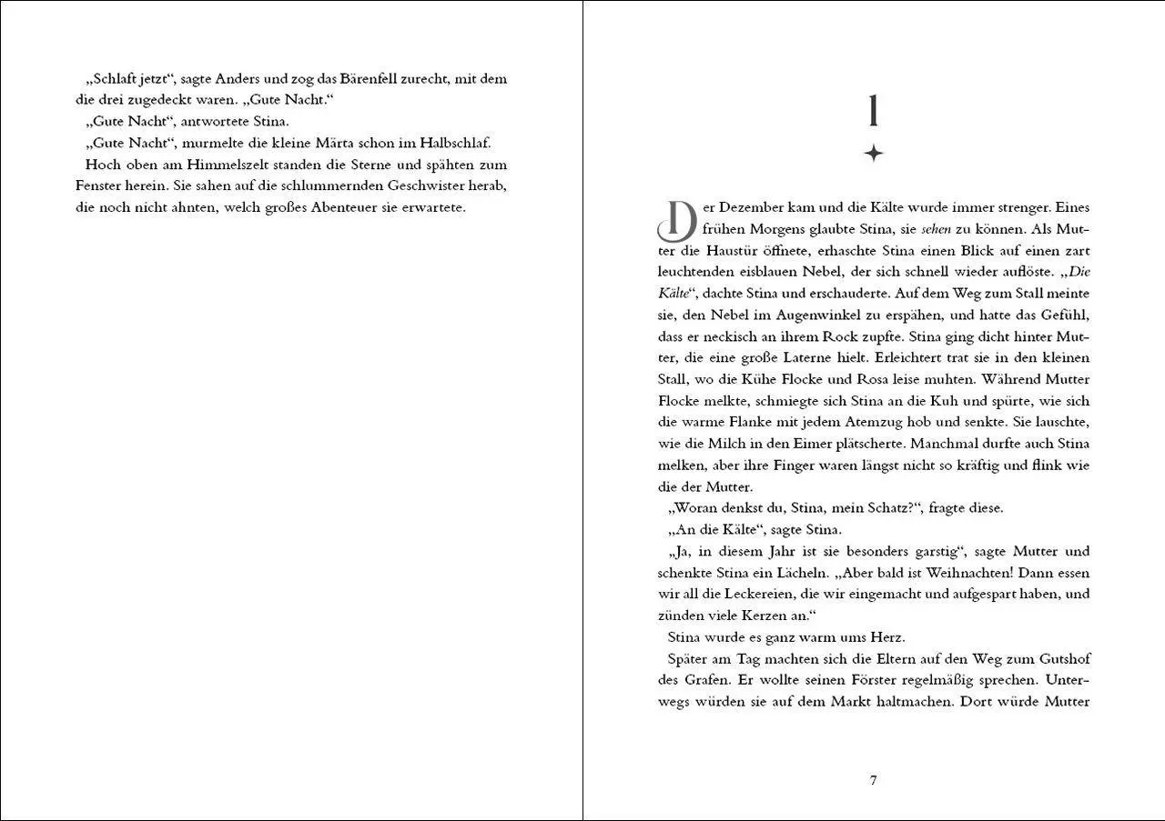Bild: 9783743224704 | Als ein Stern vom Himmel fiel | Sara Bergmark Elfgren | Buch | 128 S.